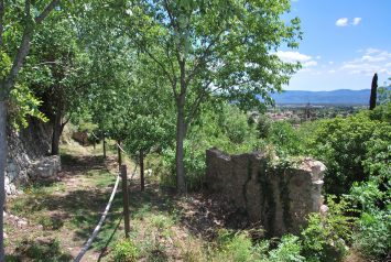 Visites guidées du Luc-en-Provence