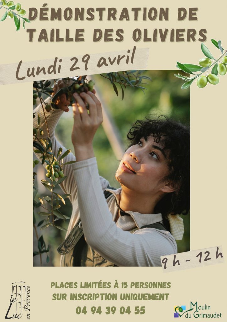 Lundi 29 avril – Démonstration de taille des oliviers