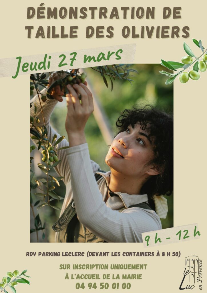 Jeudi 27 mars – Atelier de taille des oliviers