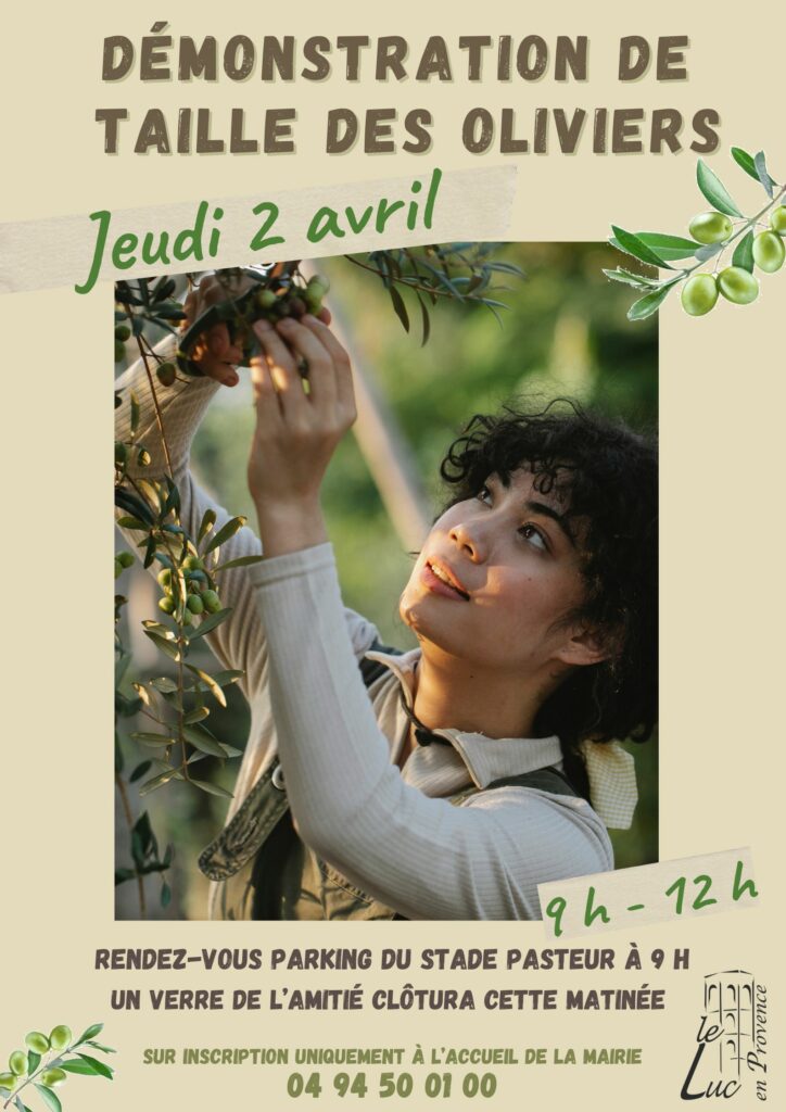 Jeudi 2 avril – Démonstration de taille des oliviers