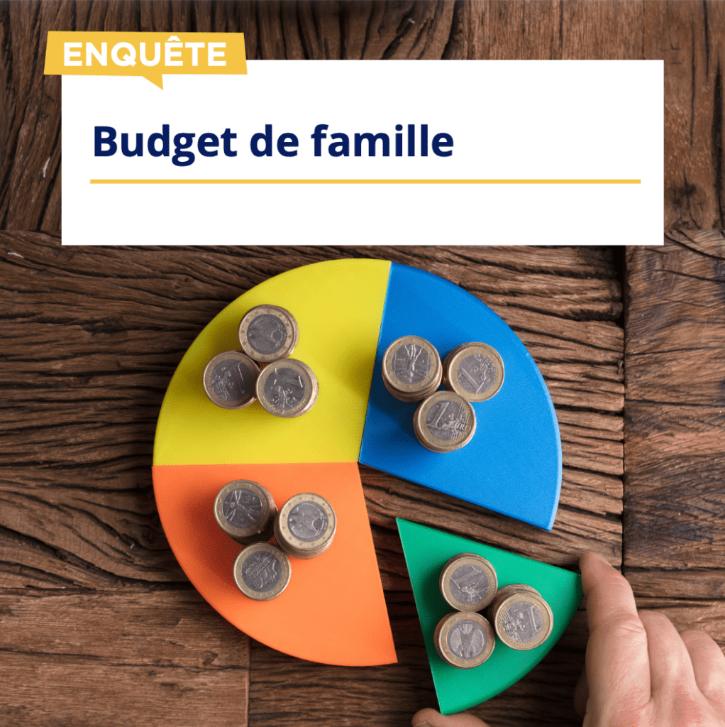 Enquête statistique (INSEE) : Budget des familles